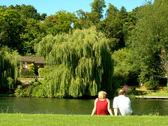 Dos personas de espalda sentados en un parque