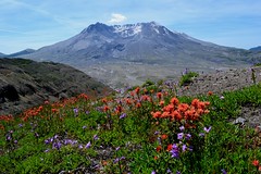 Mount St Helens National Monument