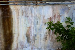 Crumbling Wall - Key West, Florida