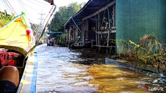 Damnoen Saduak Floating Market (TH)