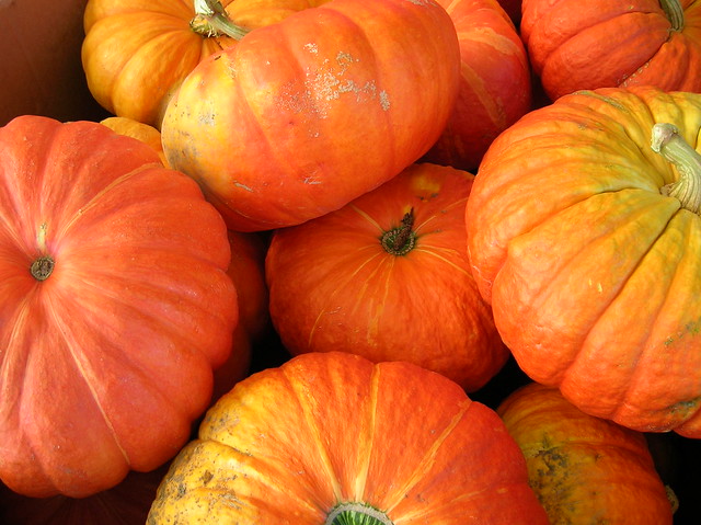 cinderella pumpkins