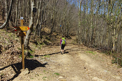 Day 2: On forest paths to Ponzò settlement