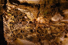 Wind Cave NP Blog Use