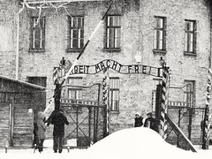 Auschwitz (per non dimenticare)