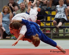 2015 Iowa Games, Judo