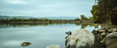 Lake Elizabeth, Fremont, CA