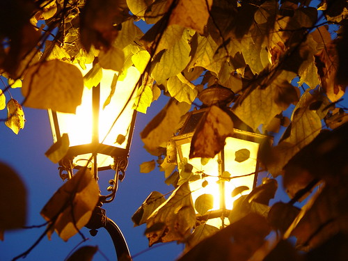 Leaves and Lamps