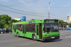 Buses in Constanta