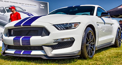 2015 Mustang Stampede