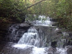 Small Falls on Jasus Creek 