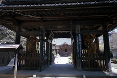 [Town] Toyoshina