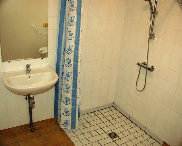 Fraise disabled shower room