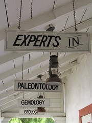 Paleontology / Gemology / Geology