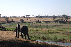 Adam trip to Tanzania, July 2015