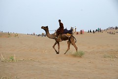 India:  The Thar Desert