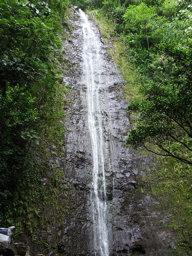  Manoa falls