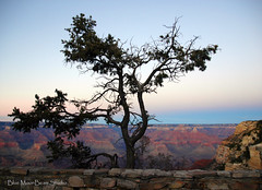 Grand Canyon / Northern Arizona