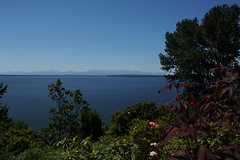  Private garden, Pacific Northwest, coast, North Seattle, Washington, USA