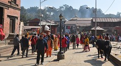 Kathmandu Valley Nepal 2016