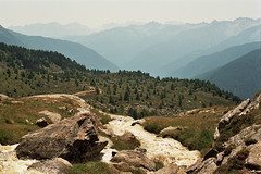 Péjo Valley, Trentino, Italy