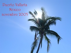 Puerto Vallarta 2005