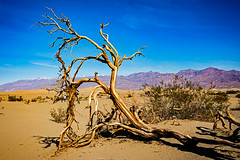 Death Valley trip