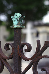 Ornament on a fence