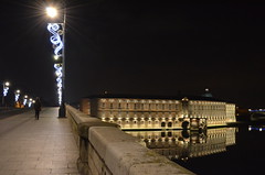 Toulouse...promenades nocturnes