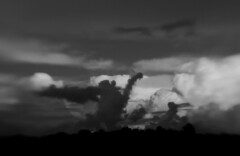 Monkey Clouds