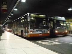 STIB-Bus-N99