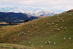 Nya Zeeland 2004
