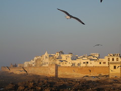 Essaouira Walls at Sunset
