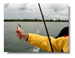 Fishing, Leech Lake, MN