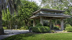 Marie Selby Gardens