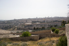 Jerusalem Landscapes