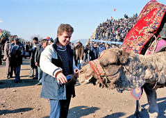 Camel Wresting - Selcuk 1990