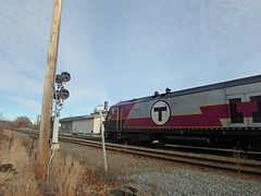 Rail - Steam