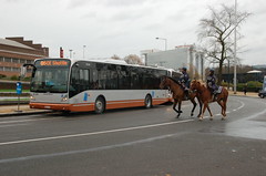 STIB-Bus-Navettes OSCE