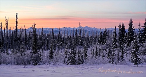 A beautiful winter morning in Alaska