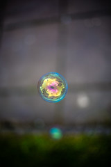 Bubble bubble