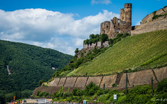 2015 - Rhine River Valley - Welcome