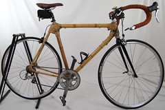 Bamboo Bicycle