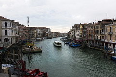 Venice 2015