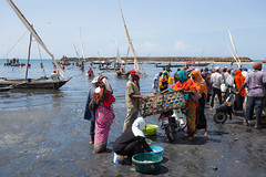 Zanzibar in Color - 2016