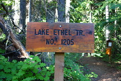 Lake Ethel 6-20-15