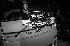 JalliKattu_Protest_Jan_2017