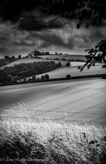 The South Downs Landscapes