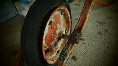 Old Wheelbarrow Wheel