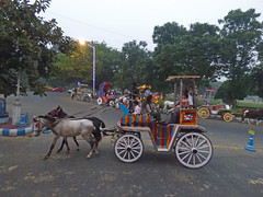 Bengale - Calcutta 2