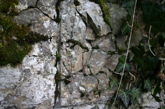 Rock cracks